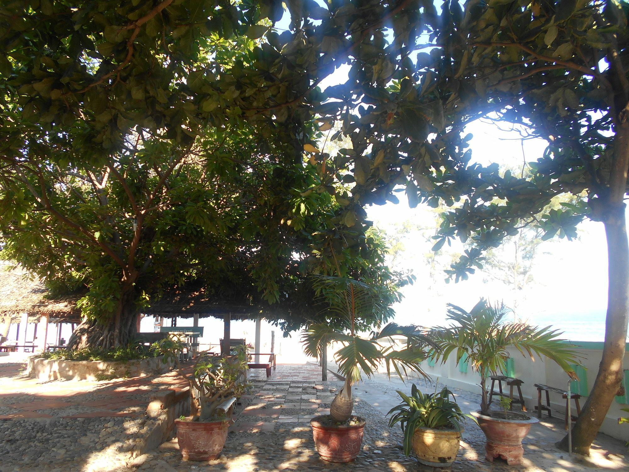 Suoi Nuoc Resort Муйне Екстер'єр фото